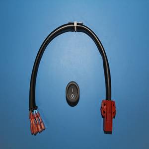 CORO 250, ENSAMBLAJE DE INTERRUPTOR DE VOLTAJE CORO 250, ENSAMBLAJE DE INTERRUPTOR DE VOLTAJE