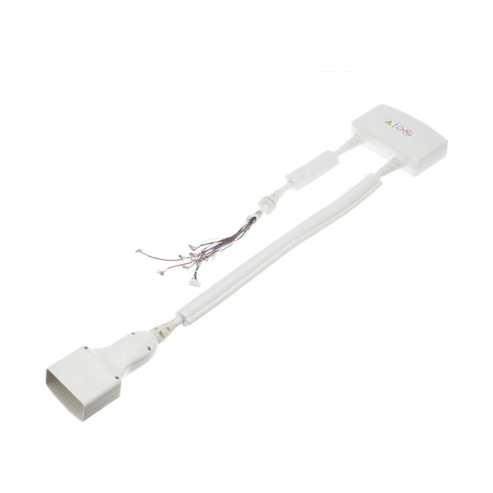 8 Channel Cervical Thoracic Lumbar (CTL) Cable Assembly 2417163 8 Channel Cervical Thoracic Lumbar (CTL) Cable Assembly 2417163