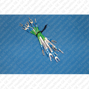 Ground Lead, Axial 24Vps Ground Lead, Axial 24Vps