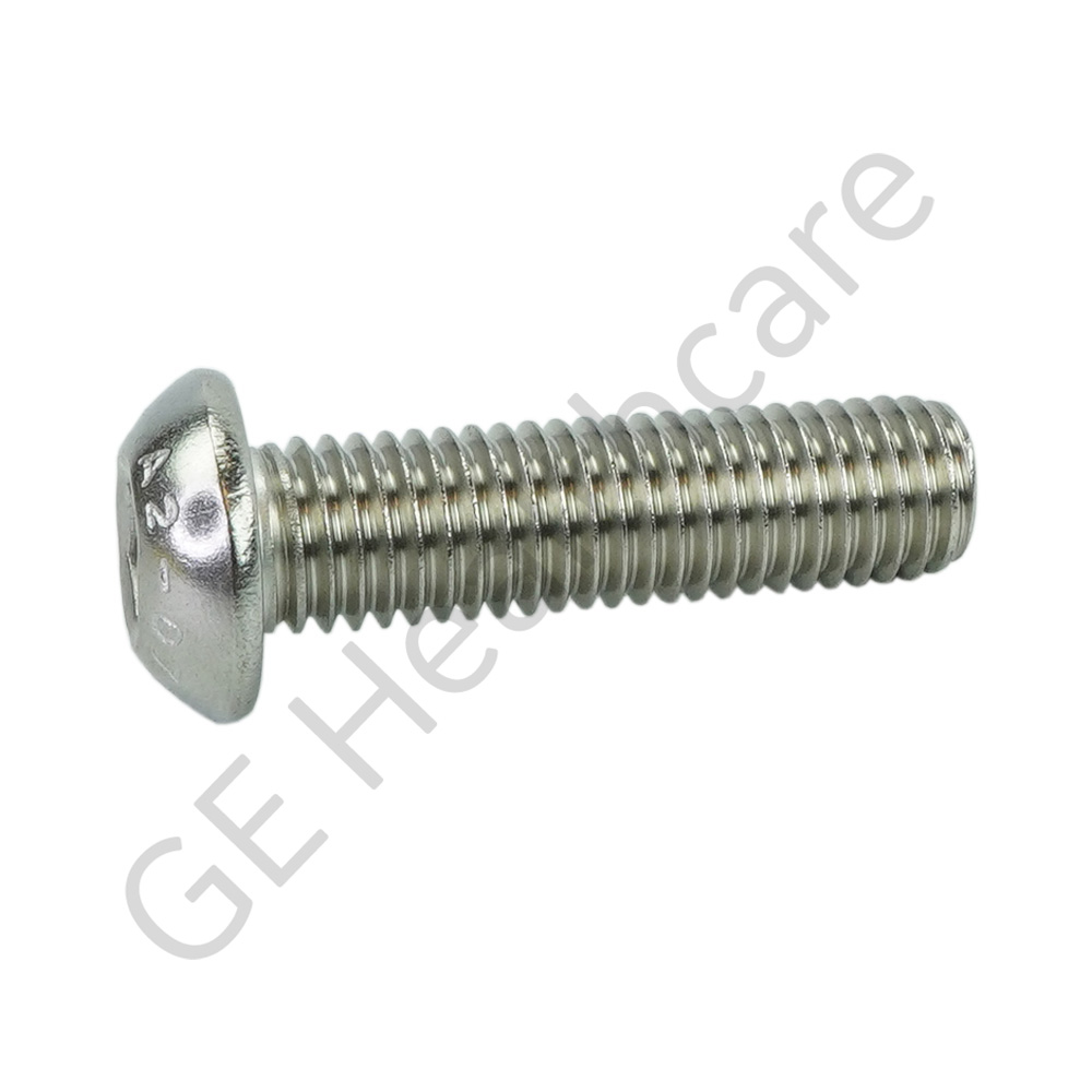 Screw M12 Socket Head SST